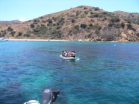 opt 015.jpg